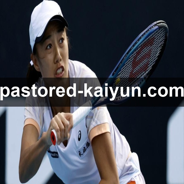 开云平台展示图