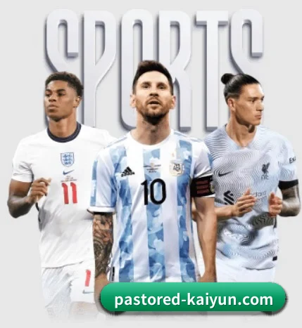开·云体育 APP | kaiyun sports