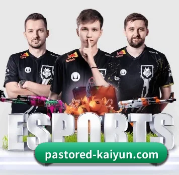 开·云体育 APP - kaiyun sports