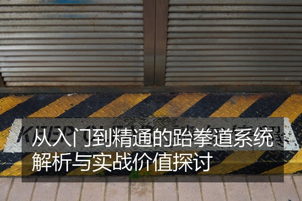 从入门到精通的跆拳道系统解析与实战价值探讨