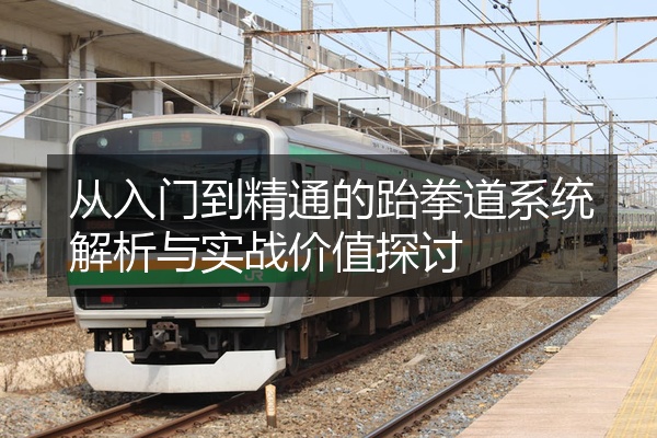 从入门到精通的跆拳道系统解析与实战价值探讨