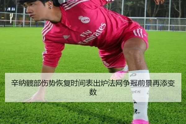 辛纳髋部伤势恢复时间表出炉法网争冠前景再添变数