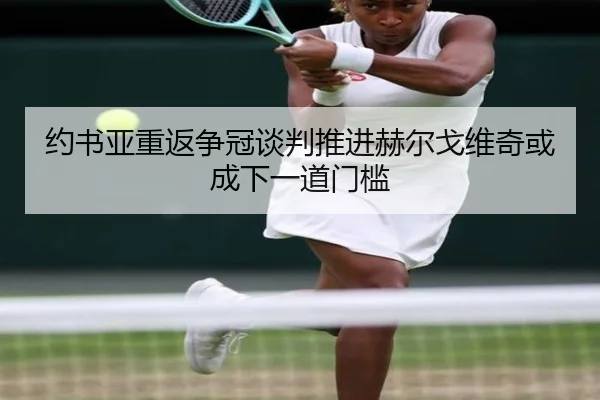 约书亚重返争冠谈判推进赫尔戈维奇或成下一道门槛（kaiyun sports）
